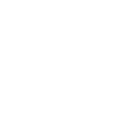 solo-iron_logotipo_2024_negativo